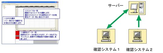 目視による分類の確認・修正