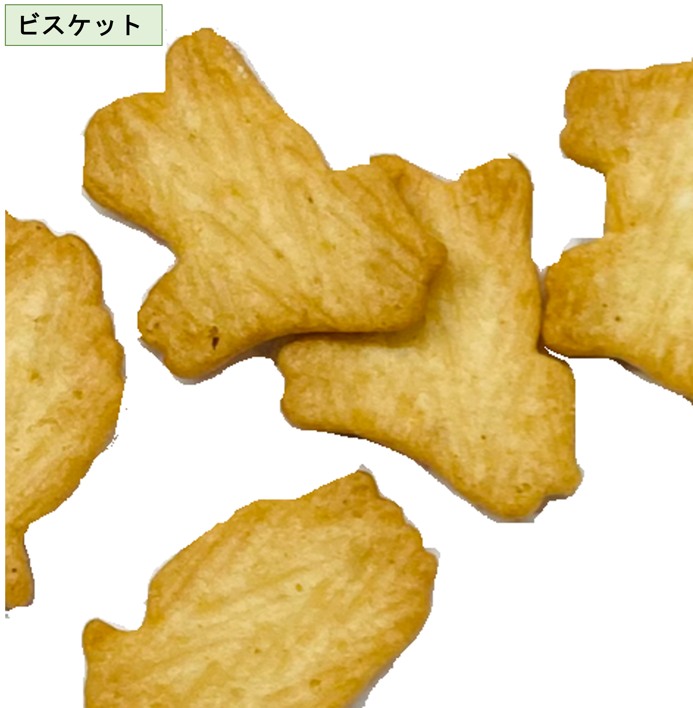 クラシフィケーション