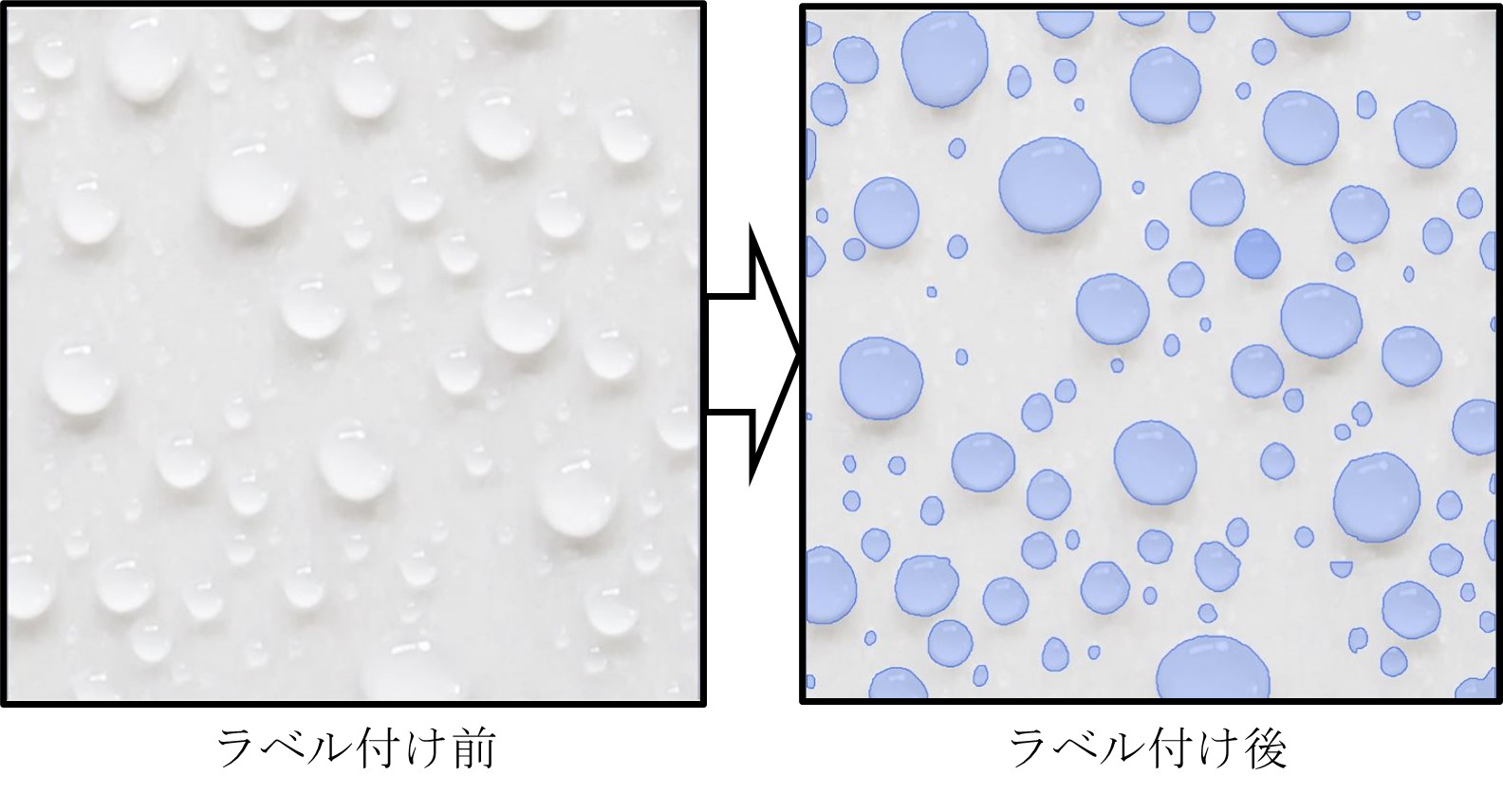 ラベル付け例図