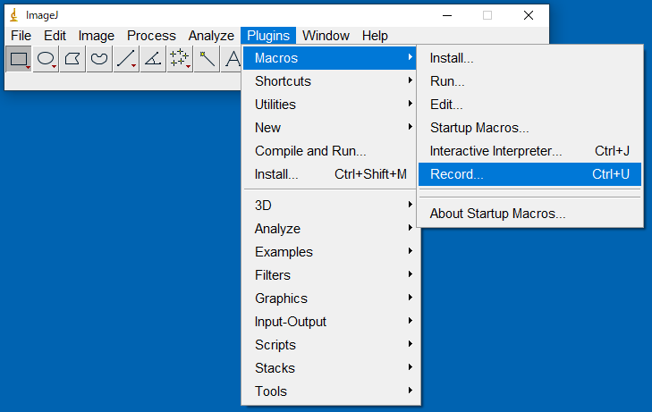 ImageJ Record