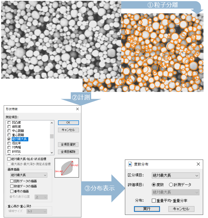 度数分布