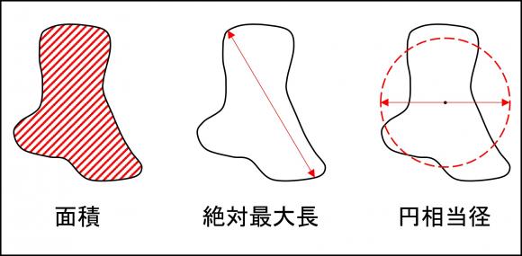 画像解析 ～粒子計測まとめ～