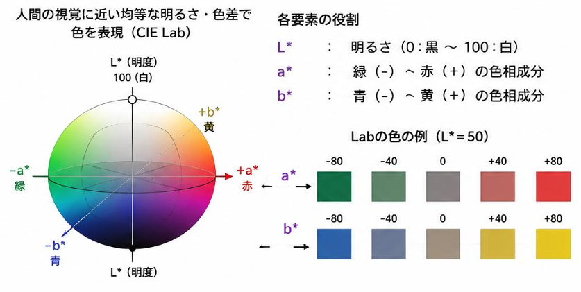 Lab