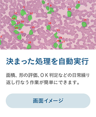 決まった処理を自動実行