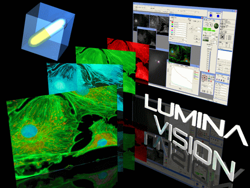 LuminaVision