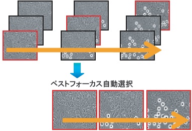 ベストフォーカス抽出