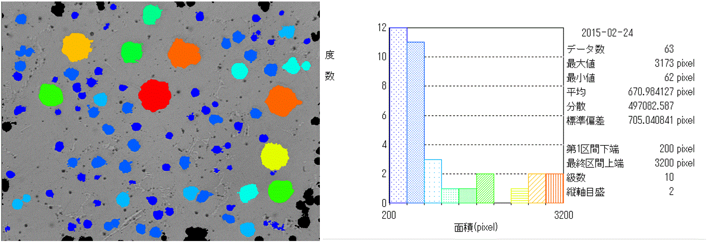 WRF20157.GIF