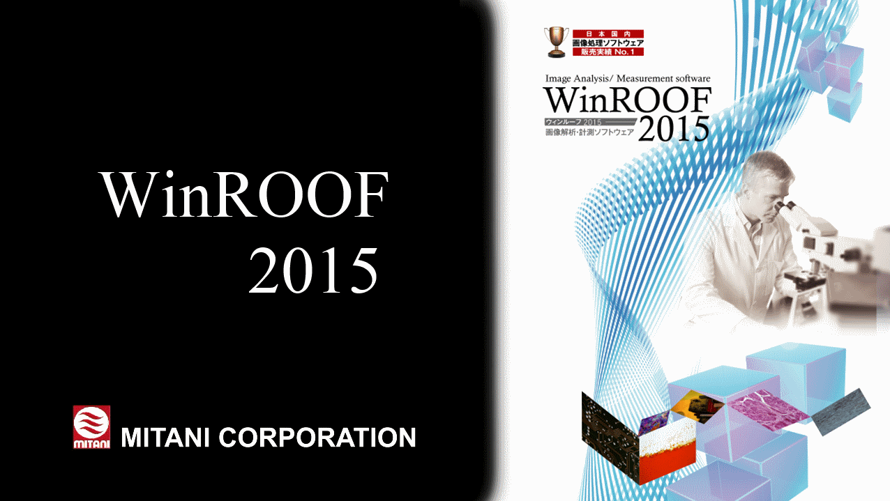 WinROOF2015