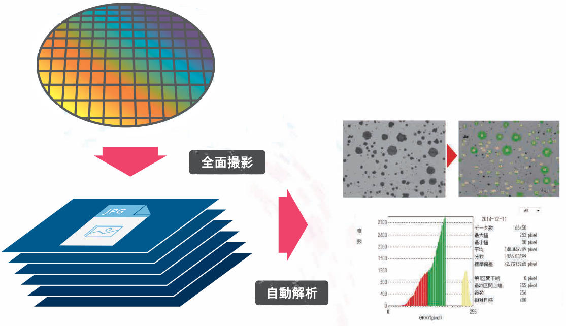 画像解析ソフトウェア