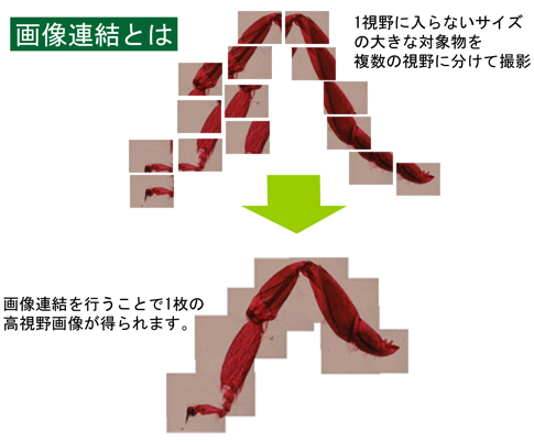 自動認識による画像の連結