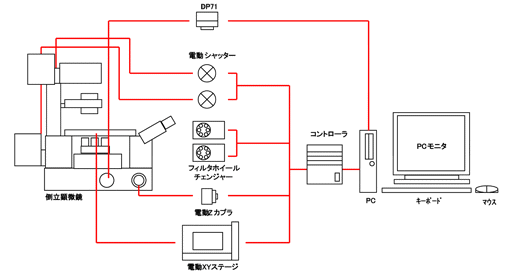 luminavision25s2.png