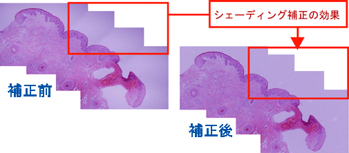 シェーディング補正機能