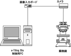 systemL.jpg