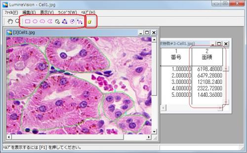 MeasureManualArea2.jpg